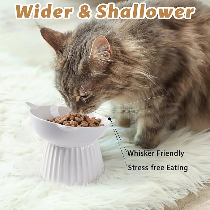 Ceramic Raised Cat Bowl，Tilted Raised Cat Bowl Anti Vomit Cat Bowls for Indoor Cats Whisker Friendly Pet Feeder for Cats Puppies, Microwave and Dishwasher Safe - Image 5