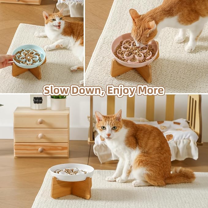 Elevated Slow Feeder Cat Bowl - Melamine Cat Dish with Anti-Slip Bamboo Stand - Whisker Friendly Feeding Bowl - Floral Maze Food Plate for Slow Eating - Green - Image 6