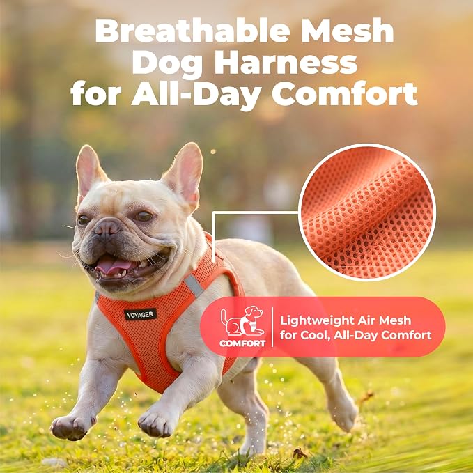 Voyager Step-in Air Dog Vest Harness - Orange, XXX-Small | 11 - 12" in Chest, Reflective Bands, All Weather Breathable Air Mesh, Cats Compatible, Lightweight, Fast Drying - Image 5