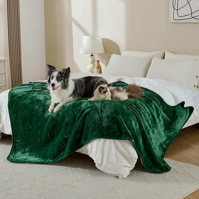 Soft Waterproof Blanket for Bed Couch Sofa, Green, 60x80 inches | Liquid Pee Proof Pet Blanket for Dog Puppy Cat, Reversible Sherpa Fleece Blanket for Couch Cover, Furniture Protector - Image 4