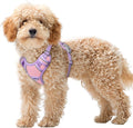 BARKBAY No Pull Dog Harness Large Reflective Dog Harness with Front Clip and Easy Control Handle for Walking Training Running with ID tag Pocket(Baby Pink & Violet Purple,XS) by BARKBAY