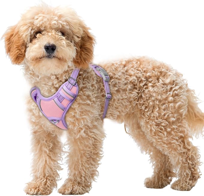 BARKBAY No Pull Dog Harness Large Reflective Dog Harness with Front Clip and Easy Control Handle for Walking Training Running with ID tag Pocket(Baby Pink & Violet Purple,XS) by BARKBAY
