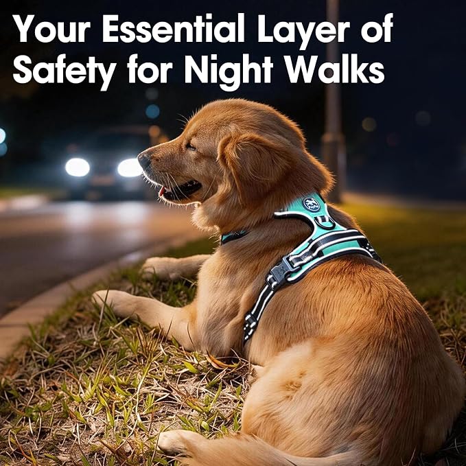 PoyPet No Pull Dog Harness Large, Reflective Vest with Front Clip & Handle | Easy On/Off, No Choke, Adjustable, 2 Leash D-rings, Soft Padded, Breathable, Oxford, for Walking Training, L, Mint Blue - Image 6
