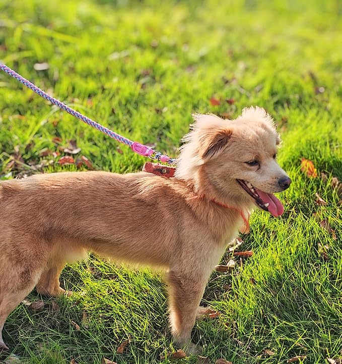 Reflective Dog Leash 2/3/4/6/10ft Braided 1/2" Strong Nylon Rope | 3FT Pink Dog Leash for Large Medium Small Dogs Walking Training Leads - Image 6