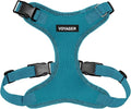 Voyager Step-in Lock Dog Harness - Turquoise, Medium | 17 - 21" in Chest, Adjustable, Breathable Air Mesh, Lightweight for Daily Walks, Strong Clips, Heavy Duty D-Ring by BestPetSuppliesLLC