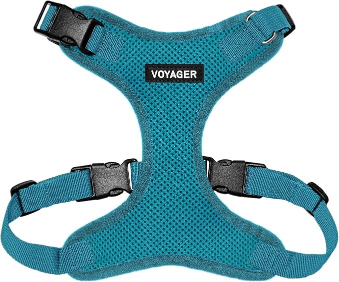 Voyager Step-in Lock Dog Harness - Turquoise, Large | 20 - 25" in Chest, Adjustable, Breathable Air Mesh, Lightweight for Daily Walks, Strong Clips, Heavy Duty D-Ring by BestPetSuppliesLLC