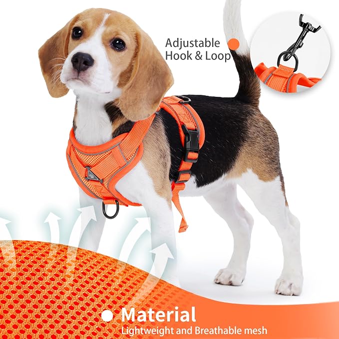 Dog Harness Small Sized Dog Pet Vest with Leash Set Orange M | Adjustable Puppy Vest Harness, No Choke No Pull, Soft Padded, Step-in Dog Vest, Reflective Cat Harness, Breathable Air Mesh - Image 4