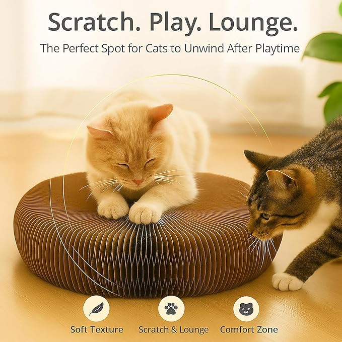 Interactive Cat Toy, Kitty Curls Cat Scratcher, Twisty Paws Cat Scratching Post, Kitty Kurls Magic Organ Cat Scratch Pad with Ball Toy for Indoor Cats, Kitty kurlz Modern Cat Scratching Board - Image 5