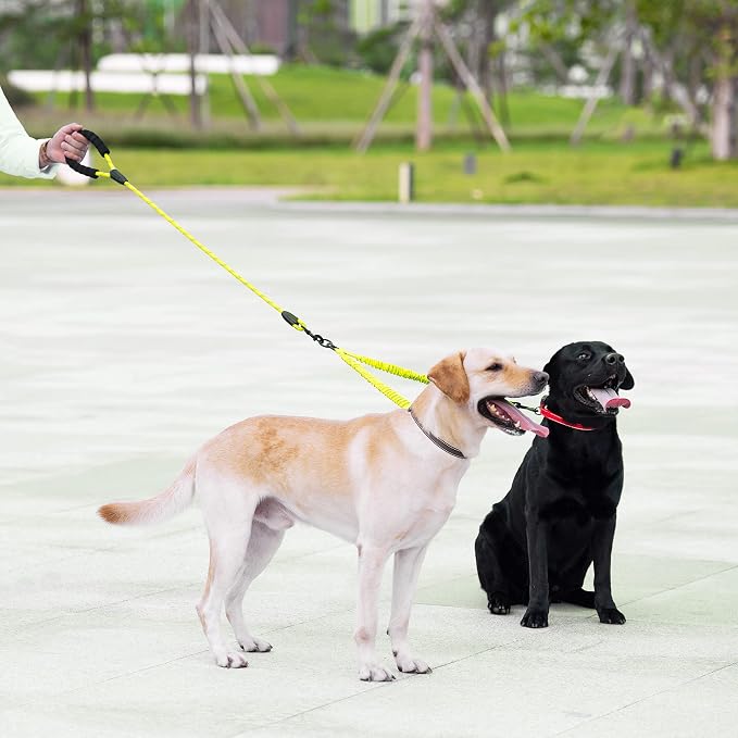Double Dog Leash, 360° Swivel, No Tangle, Large, 25-150 lbs, Green | Dual Leash for Two Dogs, Split Leash, Shock-Absorbing Bungee, Padded Handle, Heavy-Duty Rope - Image 6