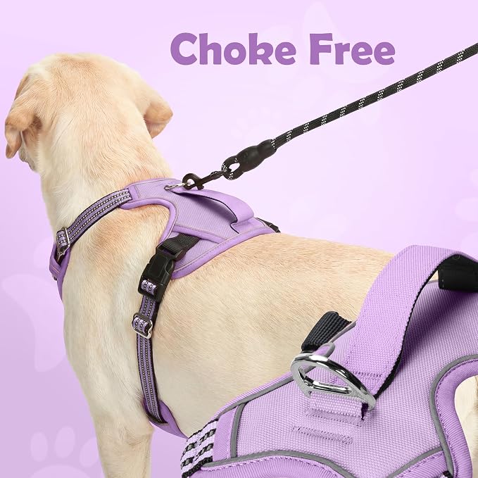 Dog Harness No Pull, Adjustable Pet Vest Harness, Super Soft Material with Vertical Handle Easy Control, Reflective Night Walking, 2 Leash Clips for Medium Sized Dogs, Purple, M - Image 4