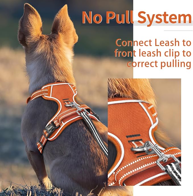 HEELE Dog Harness for Small Dogs No Pull Dog Vest Harness for Small Dog with Soft Padded Handle Reflective for Outdoor Training, Pumpkin Orange, S | Soft Breathable Padded Pet Vest, No Pull No Choke, Adjustable 2 Metal Rings for Outdoor Walking Training - Image 5