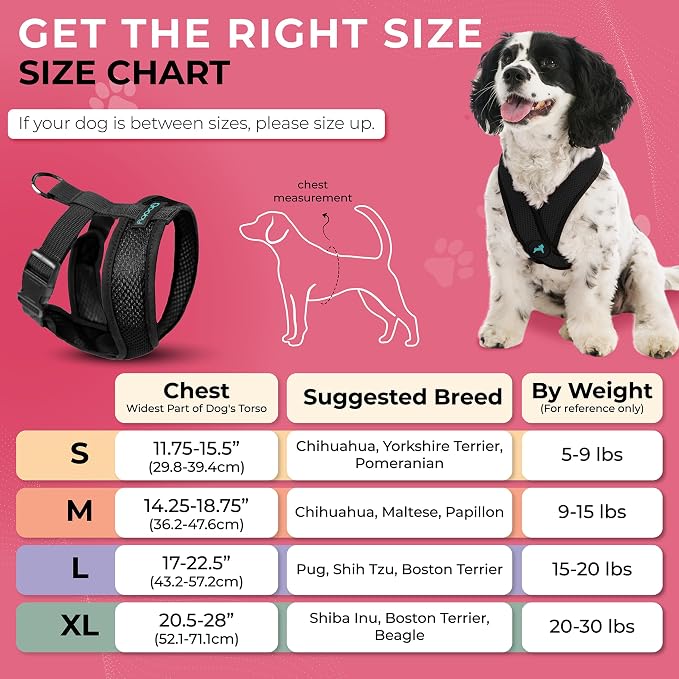 Gooby Comfort X Head-in Dog Harness, Choke-Free, Black, Medium | Patented choke-free X-frame; Secure head-in fit; Lightweight breathable mesh; Back metal D-ring; Machine washable - Image 5