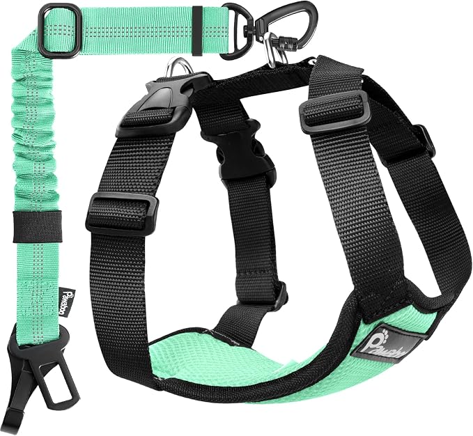 Pawaboo Dog Seat Belt Harness for Car, Seatbelt Harness with 2 in 1 Buckle | Adjustable Breathable Harness for Car, Elastic Reflective Heavy Duty Dog Tether, for Small Medium Large Pets, S, Blue Light by Pawaboo