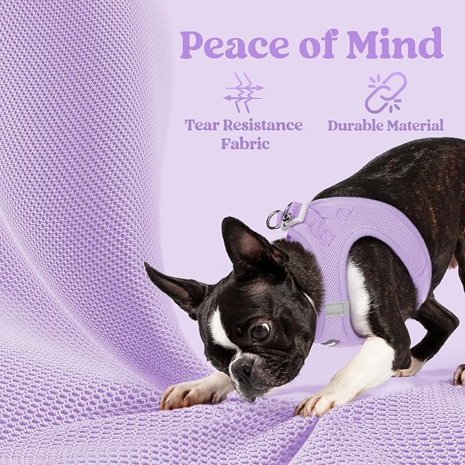 rabbitgoo Step-in Small Dog Harness, Puppy Vest for Medium Sized Pet | Easy Put on and off, Lightweight, Soft, Breathable Quick-Dry Air Mesh for Comfortable Secure Walking, Light Purple XXL - Image 4