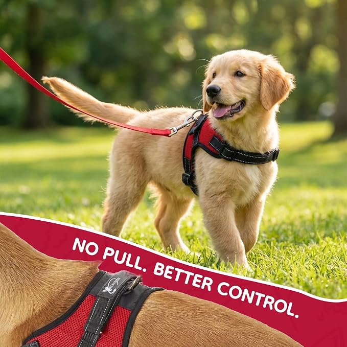 No Pull Reflective Adjustable Dog Harness with Handle- Comfortable Soft All Weather Mesh, Easy On Puppy Harness for Small Medium and Large Dogs (Red) Small - Image 6
