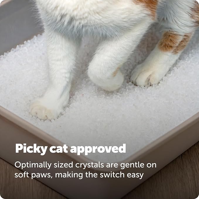 PetSafe ScoopFree Premium Crystal Litter, Fragrance Free, 4.3Lb Bag, 2 Pack | Ultra-Absorbent Crystal Cat Litter, 5x Faster Odor Control, 99% Dust-Free, Low Tracking, Refills Any Cat Box or Tray - Image 8