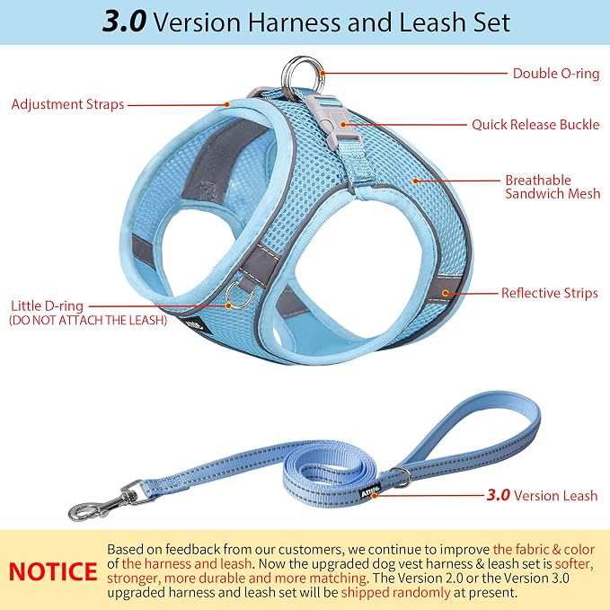 AIITLE Dog Harness and Leash Set, Step-in Puppy Pet Vest, Pure Blue M | Breathable Mesh, Adjustable Fit, Reflective Design, Padded Leash Handle, for Small-Medium Dogs & Cats, Walking, Training - Image 2