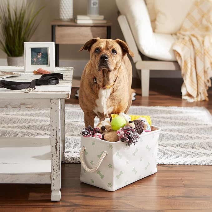 Bone Dry Pet Storage Collection Paw and Bone Print, Small Rectangle, 14x8x9", Mint - Image 2