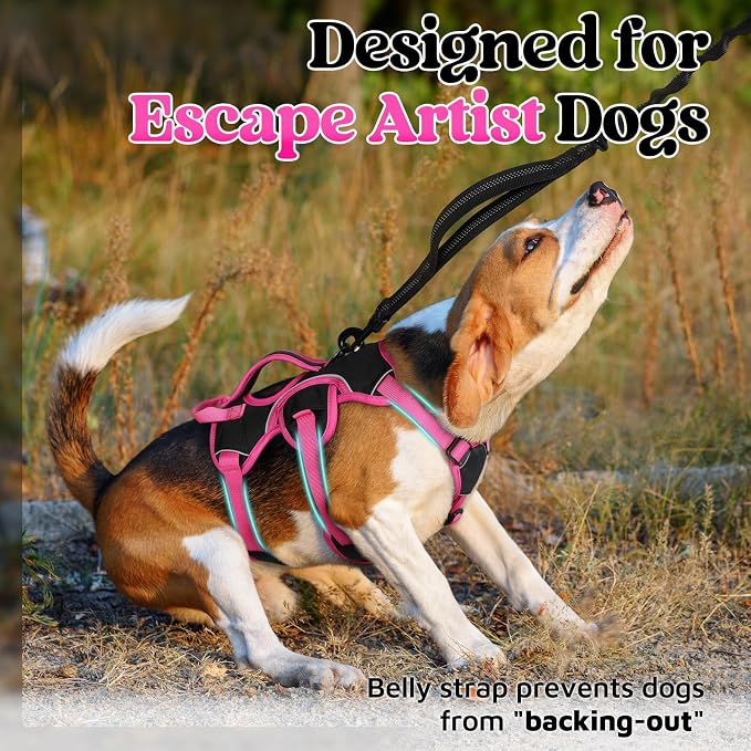 rabbitgoo Escape Proof Dog Harness for Small, No Pull with Lift Handle | No Escape, Full Soft Padded, Reflective Adjustable Vest, Leash Clip for Walking Hiking Training, Rose & Black, Small - Image 2