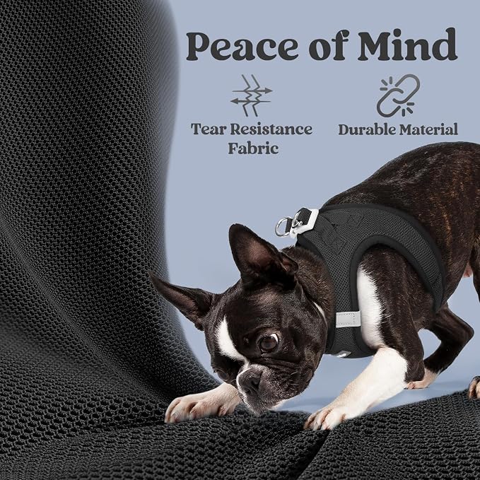 rabbitgoo Step-in Small Dog Harness, Puppy Vest for Small Medium Sized Pet | Easy Put on and off, Lightweight, Soft, Breathable Quick-Dry Air Mesh for Comfortable Secure Walking, Black L - Image 4