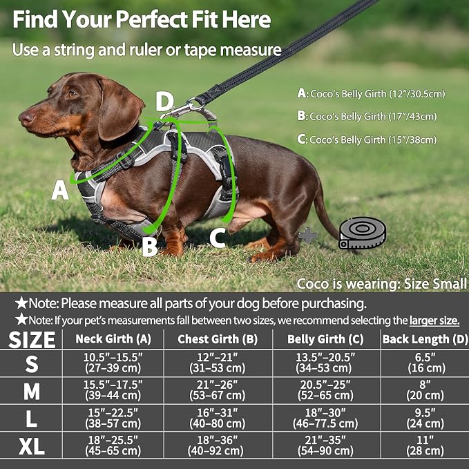 Escape Proof Dog Harness, Dachshund Harness, Reflective Dog Harness with Handle, Durable,Adjustable Vest for Small Medium Large Dogs Walking, Training, and Running Gear (Black,XL) - Image 6