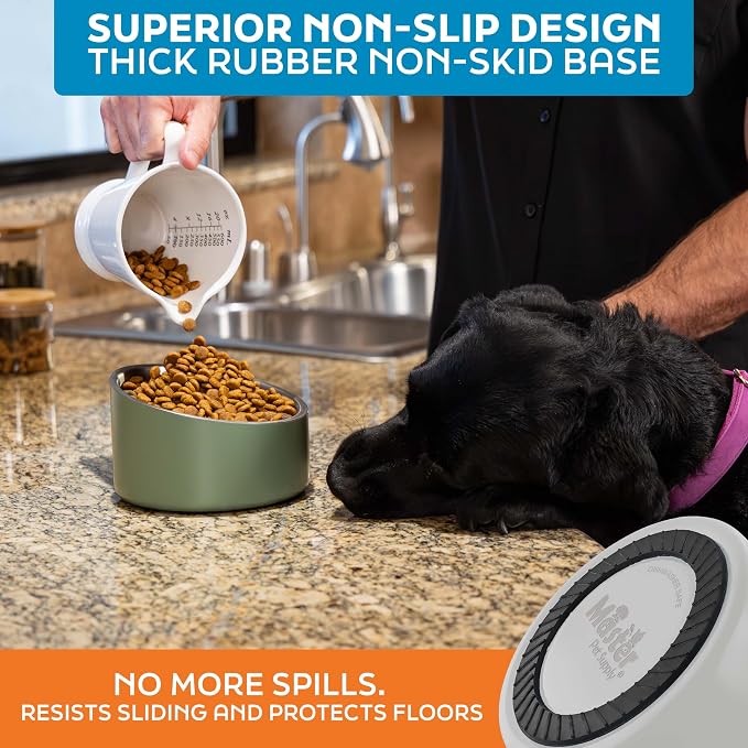 Master Pet Supply Stainless Steel Slanted Dog Cat Food Bowl 24 oz White | Heavy Duty Double Wall Insulated Non-Slip Elevated Bowl for French Bulldogs Pugs Cats Anti Rust Dishwasher Safe, Bone White - Image 5