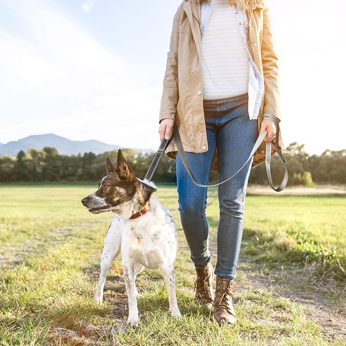 Twoear 6FT 1IN Heavy Duty Dog Leash for Large Dogs with 2 Padded Handles | Traffic Handle Extra Control, Auto Lock Hook, Strong Reflective Walking Leash for Night Safety, Medium and Large Breeds,Grey - Image 7
