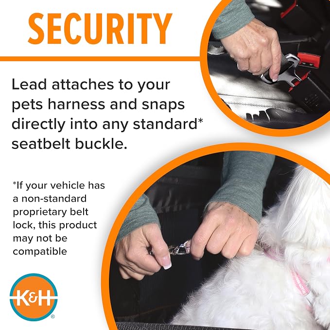 K&H Dog Car Seat, Buckle N' Go Dog Car Seats for Small Dogs, XS 16x14x14in | Secure backseat rides, small dog car seat with mesh windows, folds flat, carseat for dog, seat belt tether - Image 7