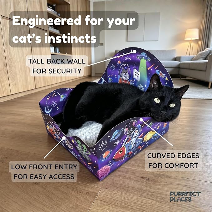 Themed Cardboard Cat House & Scratcher | Space Theme | Enclosed Privacy Bed and Premium Corrugated Scratch Pad for Small, Medium & Large Indoor Cats, 13.5 inches (Meow Moon) - Image 5