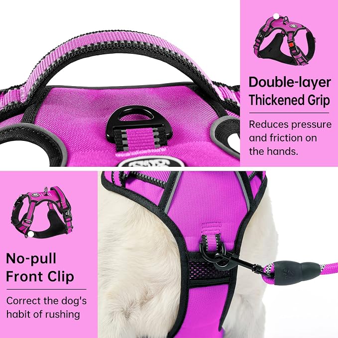 IVY&LANE No Pull Dog Harness for Large Dogs, Dog Vest Harness with Leash, Safety Belt and Storage Strap, Fully Adjustable Harness, 360° Reflective Strip, Soft Handle (Fuchsia Pink, L) - Image 4