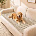 BIETYONE Couch Cover for Dogs, Washable Non Slip Sofa Protector for Pets | Washable, Non Slip, Soft Fabric, Pet Friendly, Protects Against Pet Fur, Dirt & Messes, Sofa Furniture Protector by BIETYONE