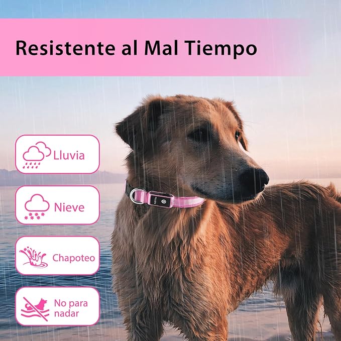 PcEoTllar Light up Dog Collar, Safe for Night Walking, Adjustable, Pink, M | Colorful RGB Light, Waterproof, For Small Medium and Large Dogs, Durable Material, USB to Charge - Image 5