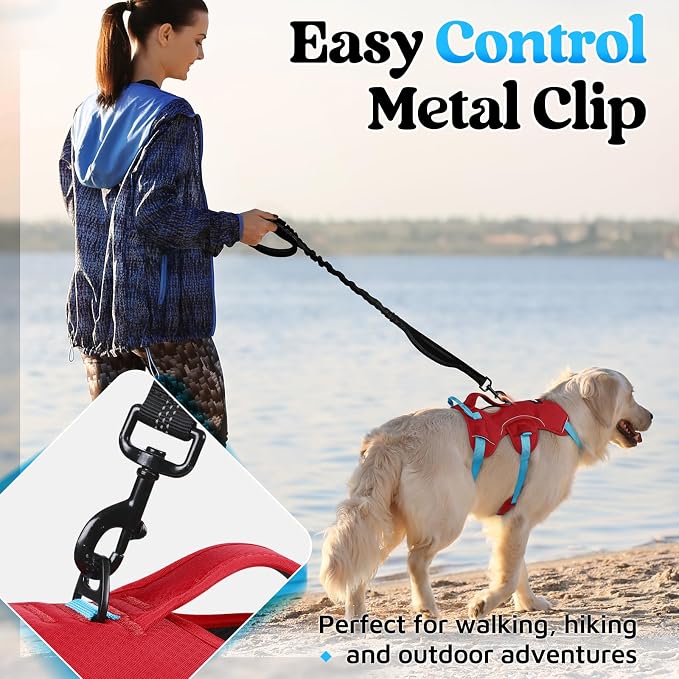 rabbitgoo Escape Proof Dog Harness for Large, No Pull with Lift Handle | No Escape, Full Soft Padded, Reflective Adjustable Vest, Leash Clip for Walking Hiking Training, Sky Blue & Red, Large - Image 5