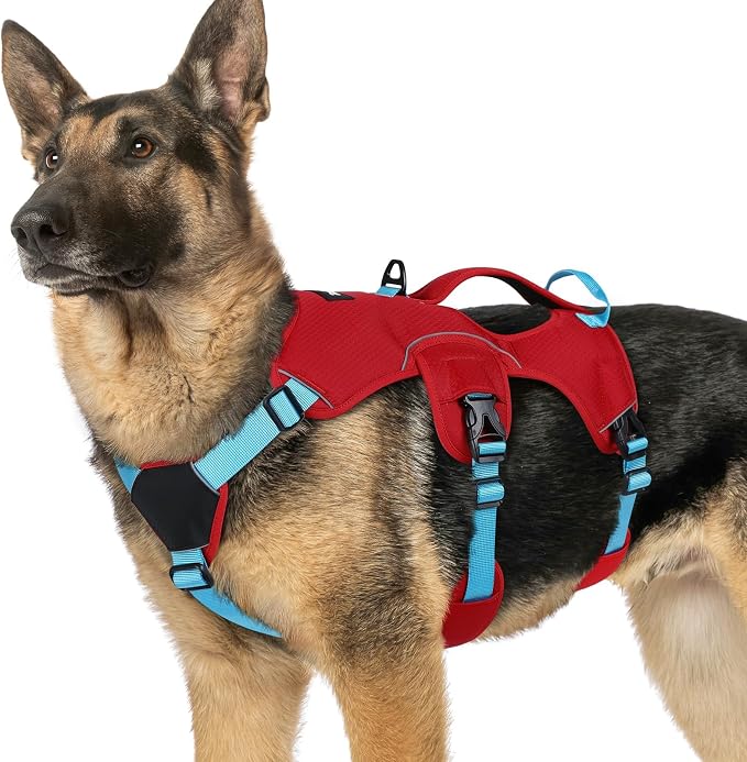 rabbitgoo Escape Proof Dog Harness for X-Large, No Pull with Lift Handle | No Escape, Full Soft Padded, Reflective Adjustable Vest, Leash Clip for Walking Hiking Training, Sky Blue & Red, X-Large by rabbitgoo