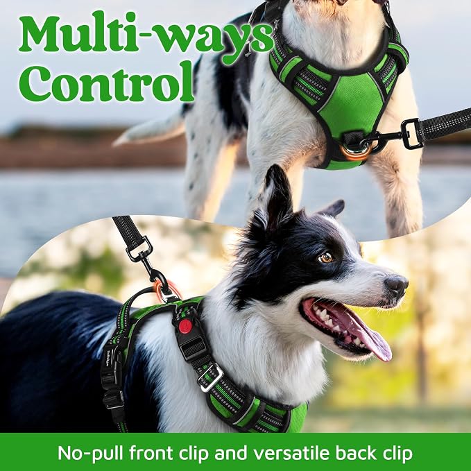 rabbitgoo Dog Harness Small Sized, No Pull 3 Buckles Easy On & Off | Soft Padded, Walking with Control Handle, Adjustable and Reflective, Green, Small - Image 3
