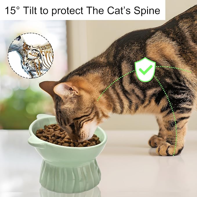 Elevated Cat Food Bowl,8 Oz Ceramic Raised and Tilted Water Bowl,Anti Vomiting and Protect Pets Spines Dishes for Fat Faced Cat, Indoor Cats,Kitten,Small Dog (Black) - Image 3