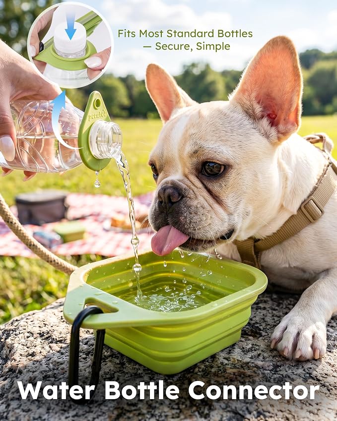 Pecute 2 Pack Foldable Dog Bowls for Travel, Portable Silicone, Blue/Green | Food-Grade Silicone, BPA Free, with Carabiner Clip for Hiking, Durable & High Quality, Dishwasher Safe, 15oz Per Bowl - Image 4