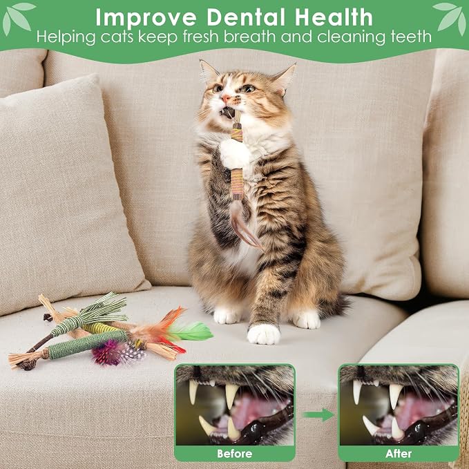 Bissap 16 PCS Silvervine Chew Sticks for Cats, Catnip Chew Sticks Cat Toys for Indoor Cat Kitten Teeth Grinding Interactive Feather Toys for Aggressive Chewers Dental Care - Image 6