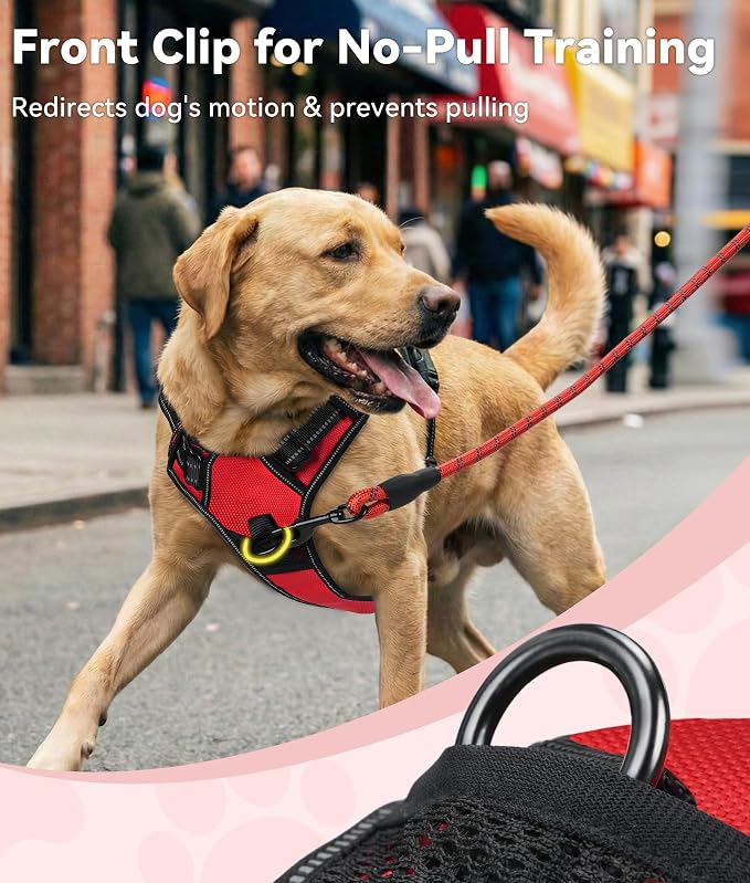 Joytale No Pull Dog Harness for Small Dogs, Front Clip, Red | Grab Handle for Instant Control, Padded & Adjustable Vest, Sturdy Metal D-Rings, for Safe Training & Daily Walking - Image 2