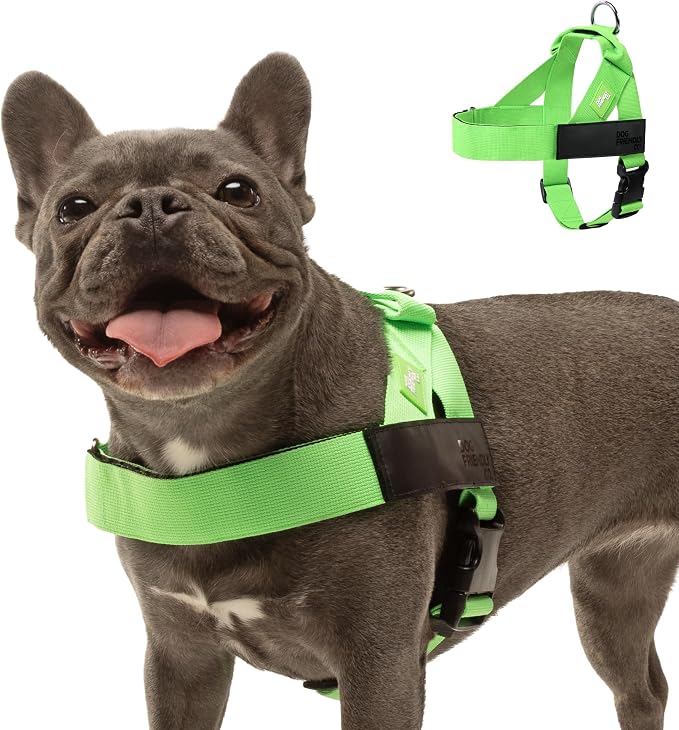 Dog Friendly Co. Dog Harness for Large Dogs (Neon Green, Large) | One Click Buckle, Chafe Resistant Webbing, Adjustable Neck & Chest, and Heavy Duty D-Ring, Sturdy Comfortable and Easy to Use by DogFriendly