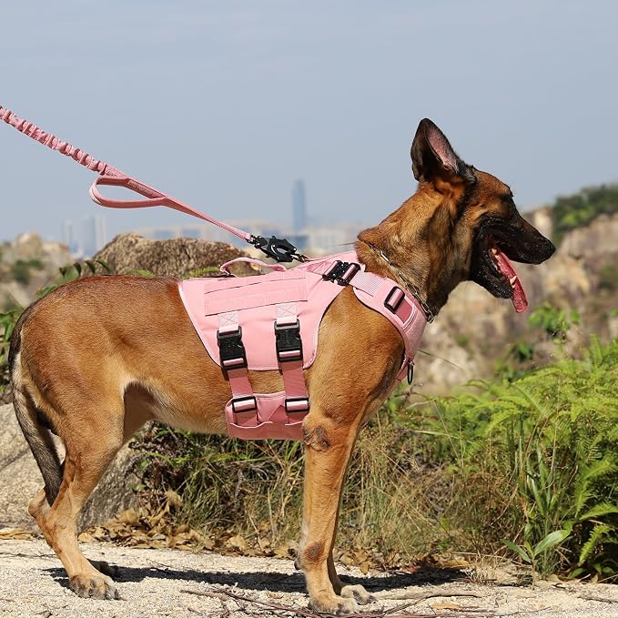 ICEFANG No Pull Tactical Dog Harness for Large Dogs,Adjustable Dog Vest | Control Handle,MOLLE Panel,Front Hook,3 Leash Clips,Soft Padded,for walking training,Pink,Large - Image 2