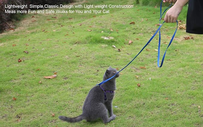 AMAGOOD 6 FT Puppy/Dog Leashes, Strong Traditional Style Leash with Easy to Use Collar Hook,Dog Lead Great for Small and Medium and Large (Blue,5/8" x 6 Feet) - Image 2