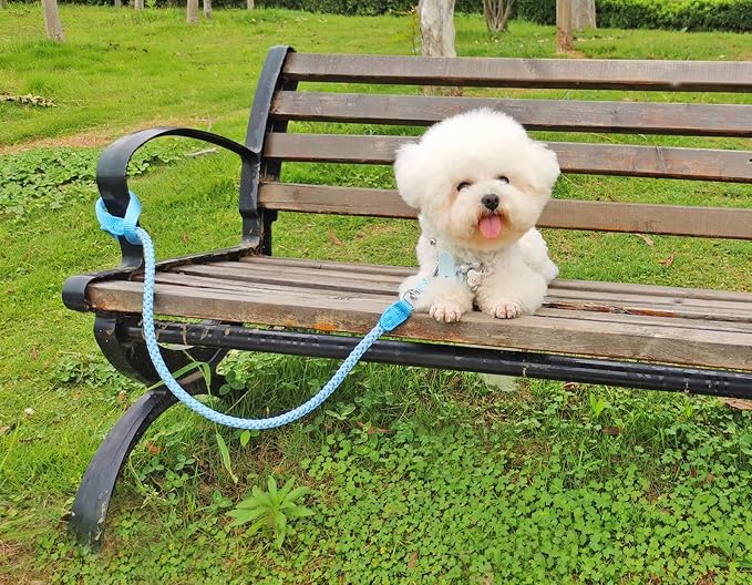 Reflective Dog Leash 2/3/4/6/10ft Braided 1/2" Strong Nylon Rope | 3FT Sky blue Dog Leash for Large Medium Small Dogs Walking Training Leads - Image 6