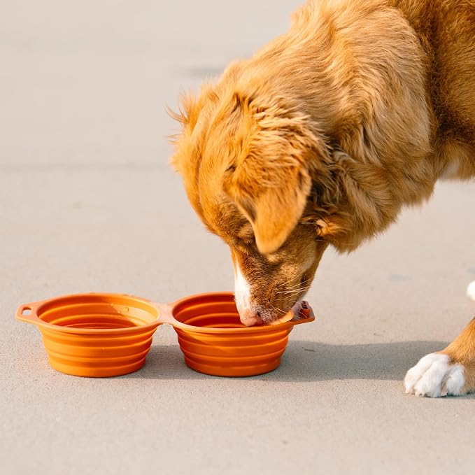 Pup Culture Dual Collapsible Dog Bowls | Silicone Travel Water Bowl for Dogs | Food Grade, No Plastic Rim, Portable Dog Bowl for Food and Water - Easy to Clean | BPA Free and Safe for Your Pup-Green - Image 8