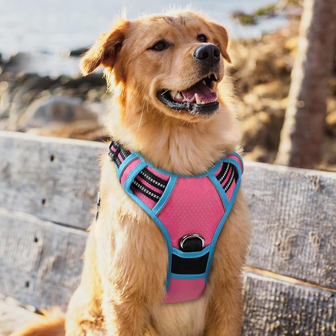 rabbitgoo Dog Harness for Large, No Pull 3 Buckles Easy On & Off | Soft Padded, Walking with Control Handle, Adjustable and Reflective, Pink & Blue, X-Large - Image 8