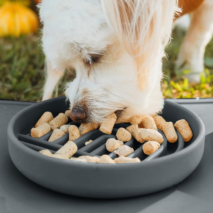 Should We Go? Slow Feeder Dog Bowls - Small Size Silicone Slow Eating Dog Bowl for Puppies & Dogs with Suction Cup -Dishwasher-Safe,Lick Mat Design,Reduces Gulping, for All Breeds, 6”x1.25”- Charcoal - Image 5