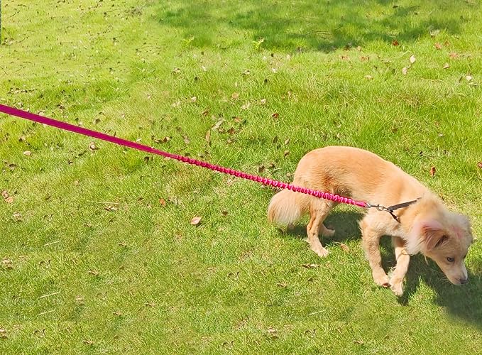 5FT Bungee Dog Leash Shock Absorbing Lightweight Small Medium Dogs | Reflective Nylon Lead 2cm Wide- Soft Handle- Anti-Pull Training- 6 Colors (Pink) - Image 8
