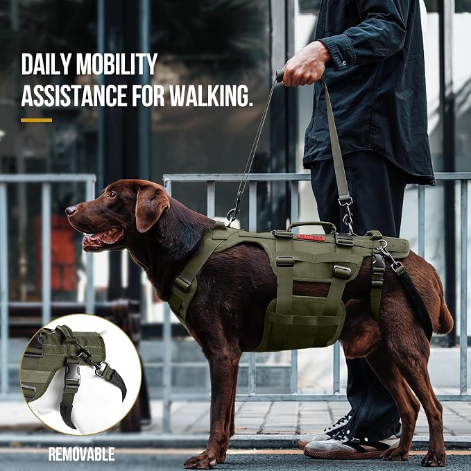OneTigris Dog Lift Harness for Large Dogs, Dog Hip Support Brace, Full Body Lifter with Handles Invictus Multifunctional Mobility Assistance Vest for Back Legs (Green, Medium) - Image 2