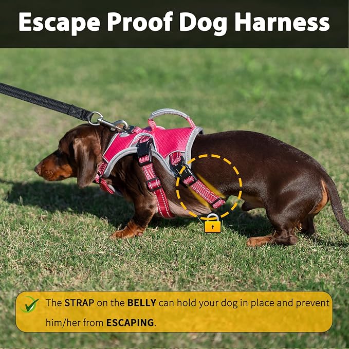 Escape Proof Dog Harness, Dachshund Harness, Reflective Dog Harness with Handle, Durable,Adjustable Vest for Small Medium Large Dogs Walking, Training, and Running Gear (Rose red,L) - Image 2