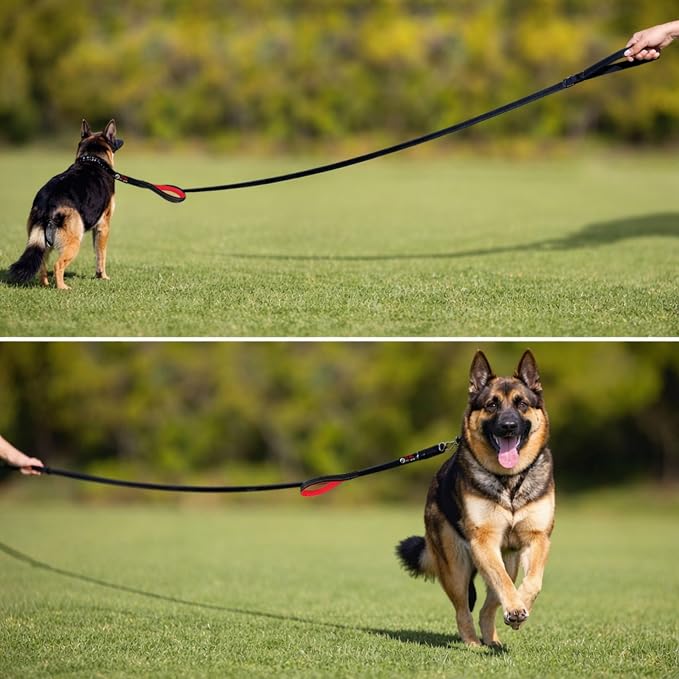 Dog Leash 6ft Long,Traffic Padded Two Handle,Heavy Duty,Reflective Double Handles Lead for Control Safety Training,Leashes for Large Dogs or Medium Dogs,Dual Handles Leads(Pink) - Image 3